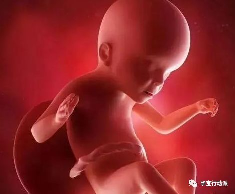 孕期周刊35周,孕期周刊第14周