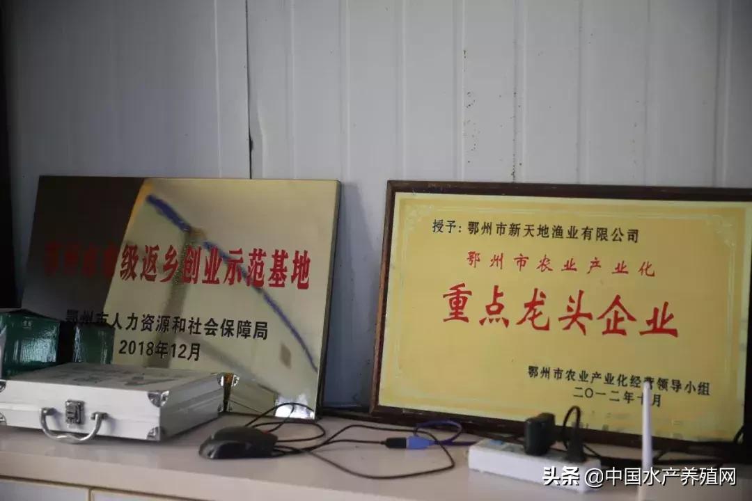 曾经生意亏损100万,曾经创业亏损100万