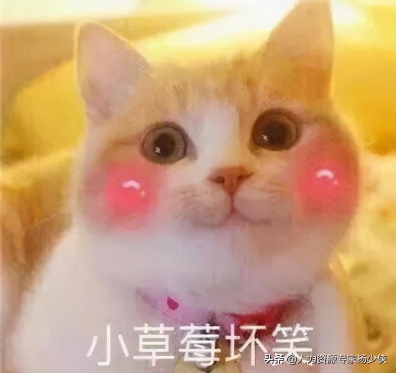 怀孕女员工一直请假被辞退怎么办,怀孕女职工长时间请假