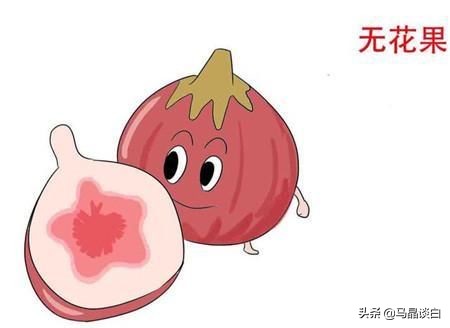 民间偏方治疗白癜风最好的方法,偏方治疗白癜风秘方大全