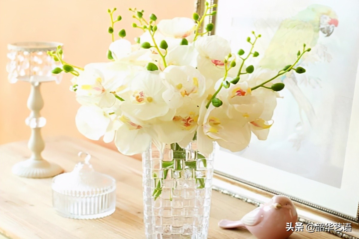 爱情是最不重要的东西,爱情对有的人来说是必需品