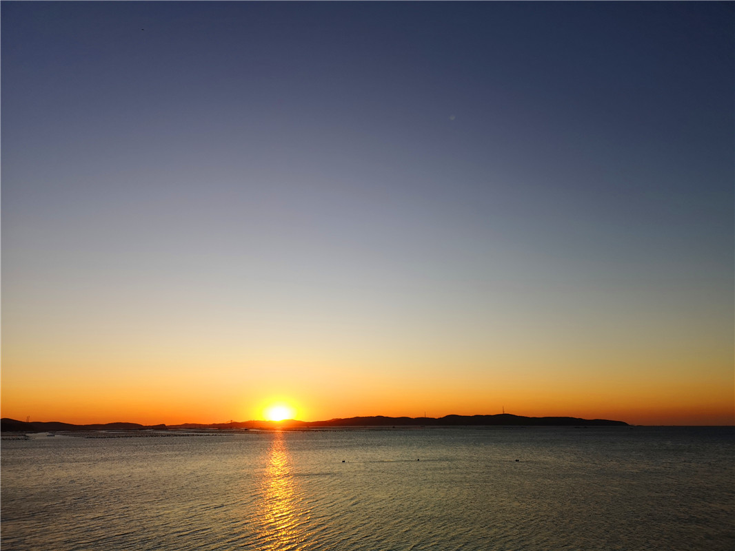 探秘海参的捕捞过程,野生海参采捕视频大全