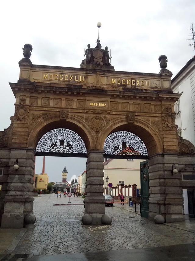 青岛皮尔森啤酒,雪津皮尔森啤酒