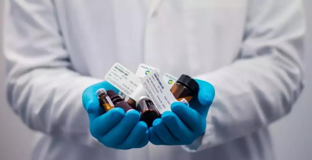 养狗训狗与狗病防治的区别,养狗训犬与疾病预防