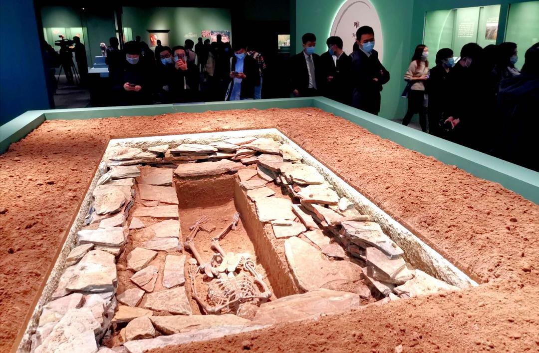 沈阳市新闻12月5日,沈阳新闻15日微博