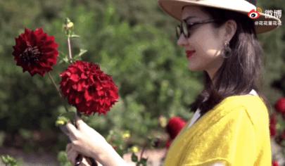 章泽天和董花花哪个强,章泽天与董花花的视频