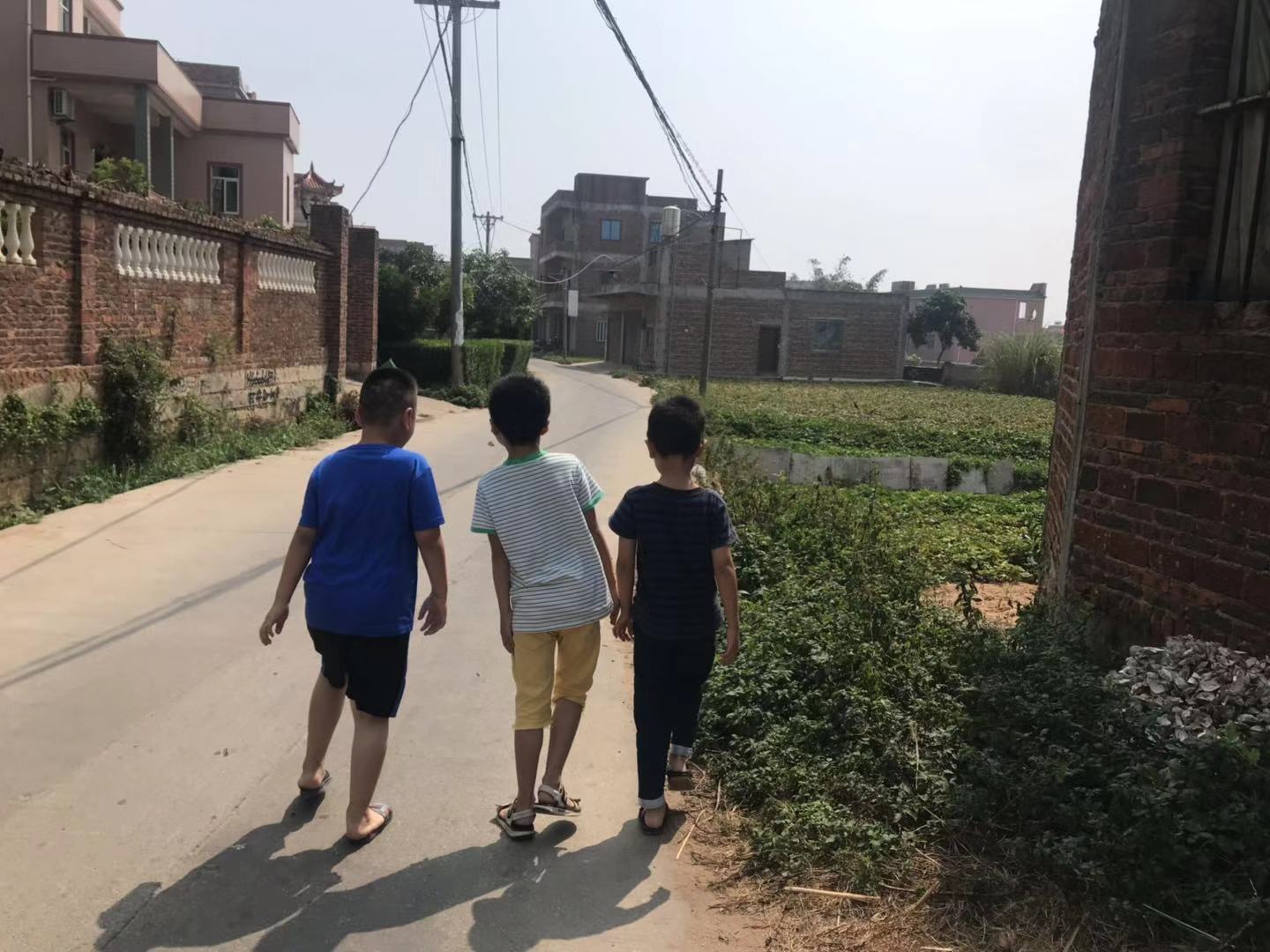 我的婶婶,一生要强的婶婶