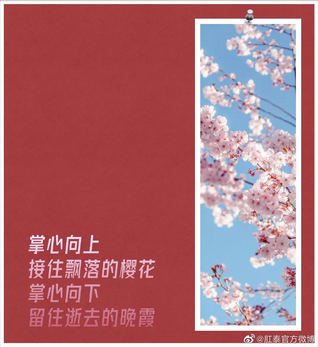 比肩杜蕾斯，肛泰这半年赢麻了