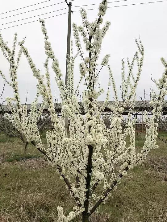 别再说安义没什么玩的了，有这一篇就够了！