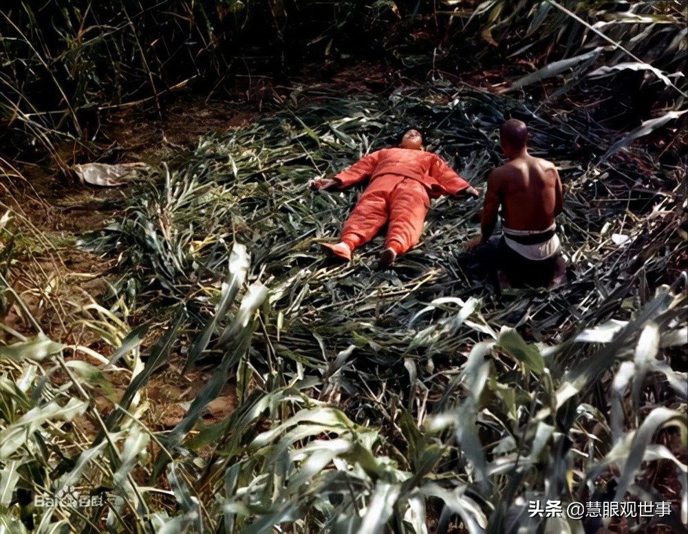 故事片透明的红萝卜完整版,透明的红萝卜有声小说免费