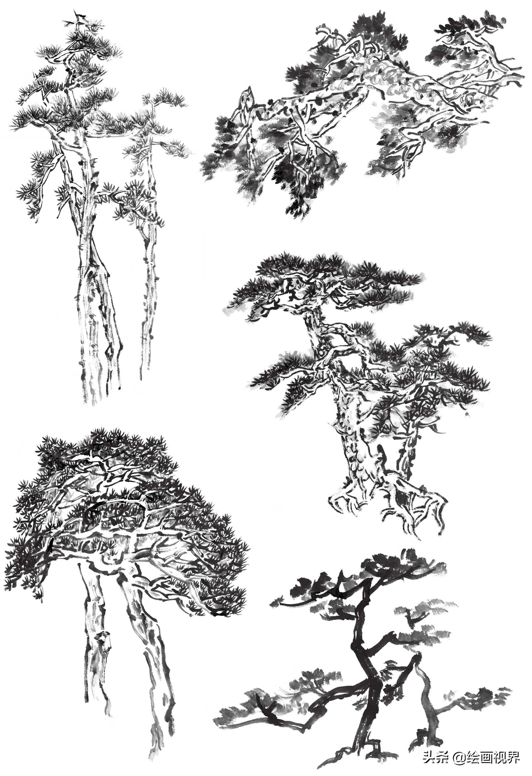 国画双钩树的画法入门,国画杂树与山石的画法图片