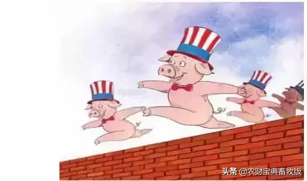 流入餐桌的水饺“带病”，进口猪肉近乎被买断？