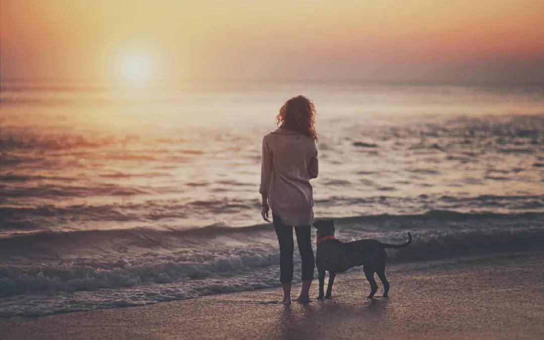 分手的男朋友不理我要如何挽回,和男朋友分手了想挽回怎么办文案