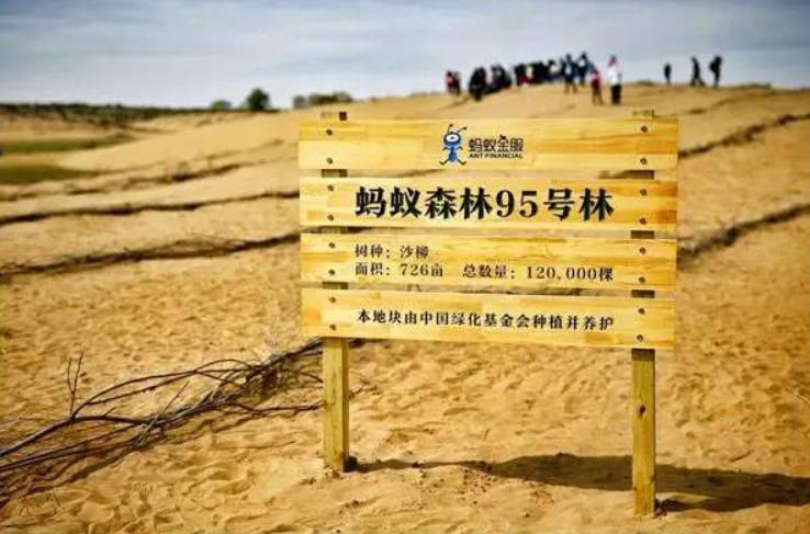 蚂蚁森林是国家出钱还是马云出钱,马云的蚂蚁森林现在进展怎么样了
