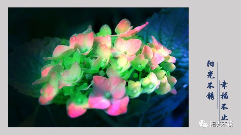 在瑞士买什么有纪念意义,在瑞士消费高