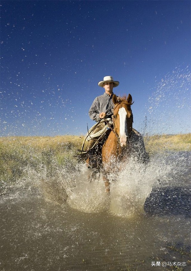 骑马是怎么样的体验,会骑马吗什么意思