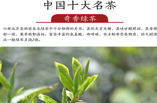 中国十大名茶六安瓜片产地,六安瓜片中国十大名茶之一