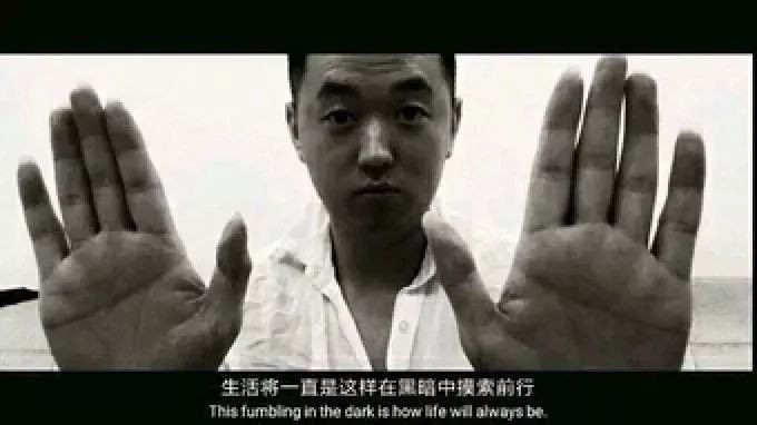 宠物产品毫米级造假，连标点符号大小都考究，怎么才能买到正品？