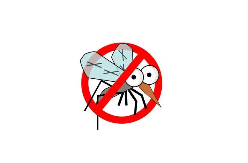 蚊子咬狗,蚊子也咬脚么