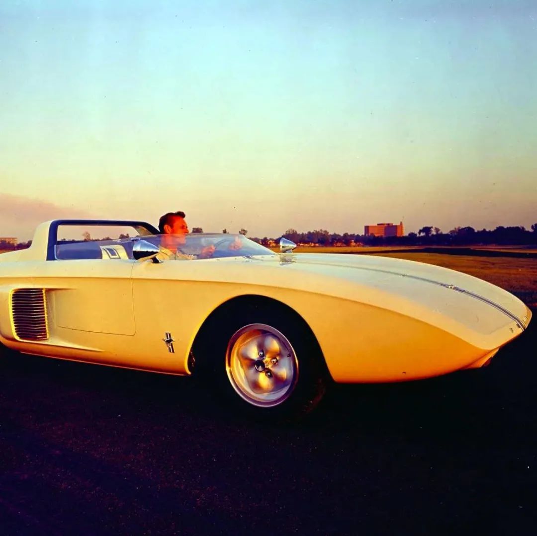 野马最长的一款,最贵的野马车型是哪一款