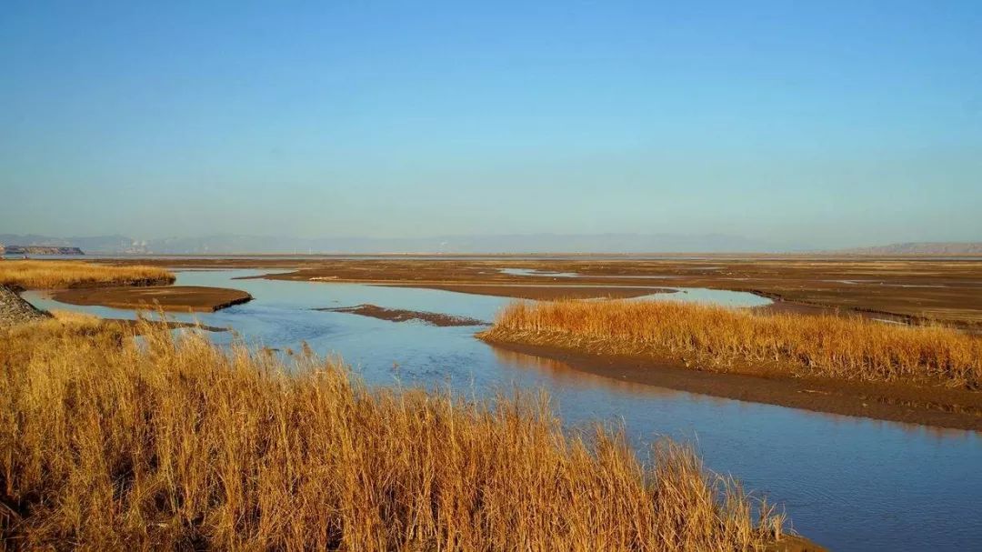 有心同读丨省政协原副主席陈光：虽只是个过客，却细细品尝了菏泽味道