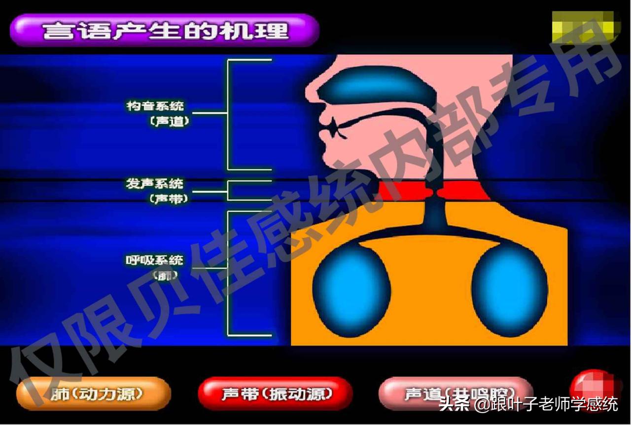 少儿英语干货资料,儿童语言问答好不好