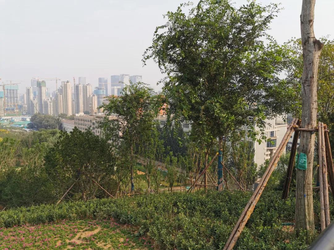 济南再添网红打卡地,济南又添网红打卡地