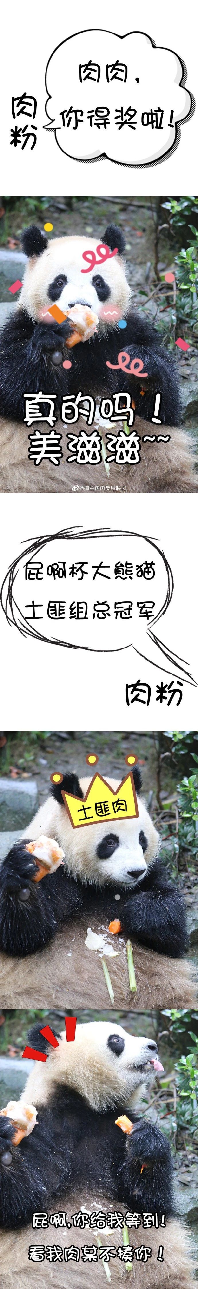 熊猫儿本人照片,熊猫儿图片