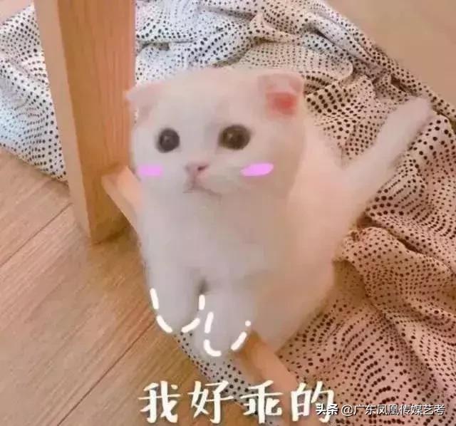 传媒艺考才艺展示舞蹈,艺考好学的非语言类才艺展示