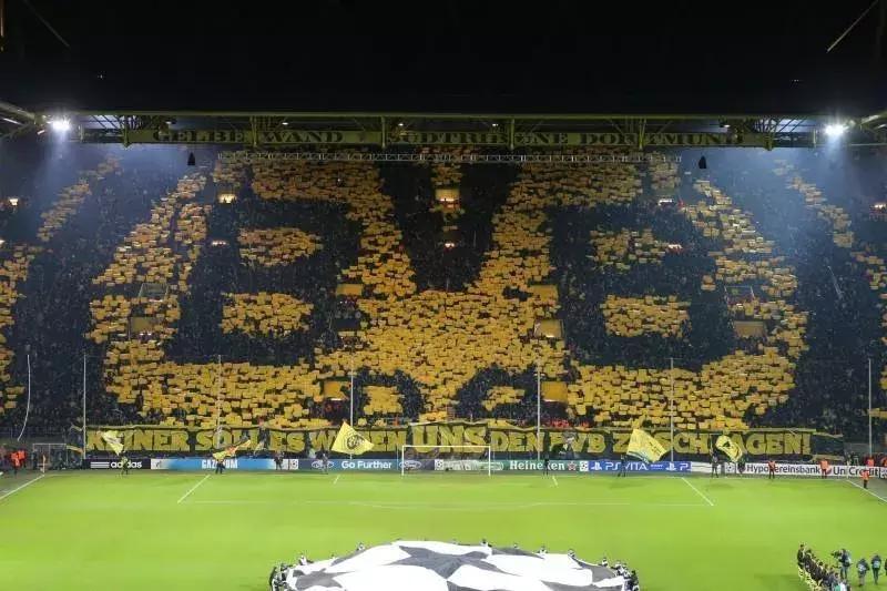 足球场上的第十二人球迷,足球场上的第十二人