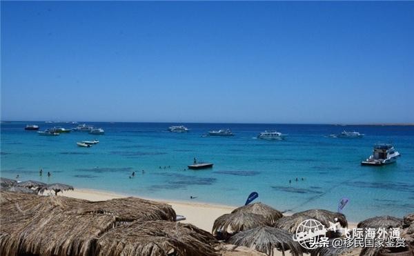 澳大利亚移民办理步骤和流程,澳大利亚技术移民常见问题有哪些