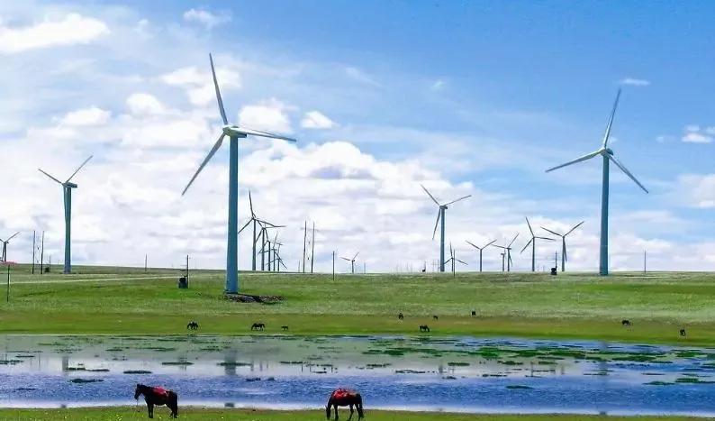 狮子大开口要20万,狮子大开口要5000万