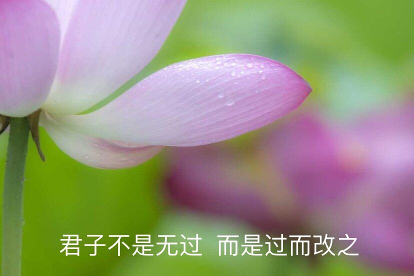 心中的神明,心中的神明作文