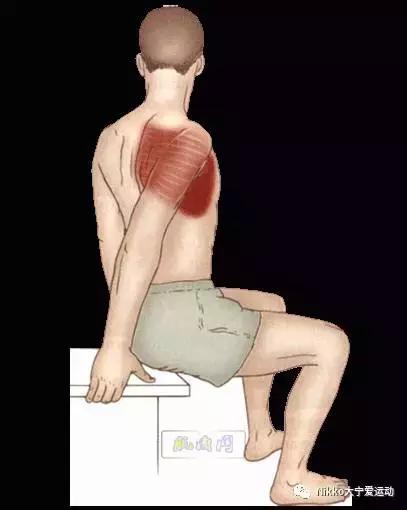 怎么减掉斜方肌变成一字肩,女人天鹅颈怎么练出来