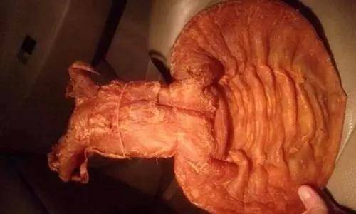 鱼胶知识大全视频,最全常识看完涨知识