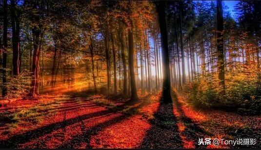 降温了手机摄影,降温了可以拍什么视频