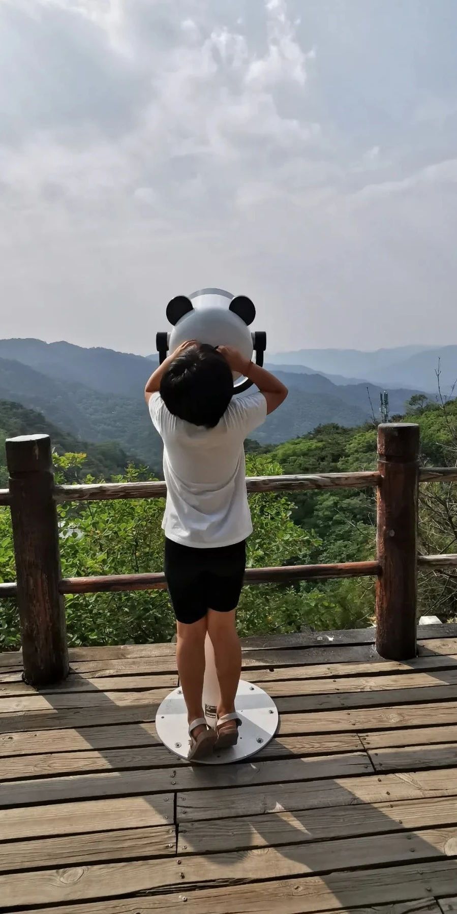 济南免费遛娃的地方,济南市十一带娃游玩好去处