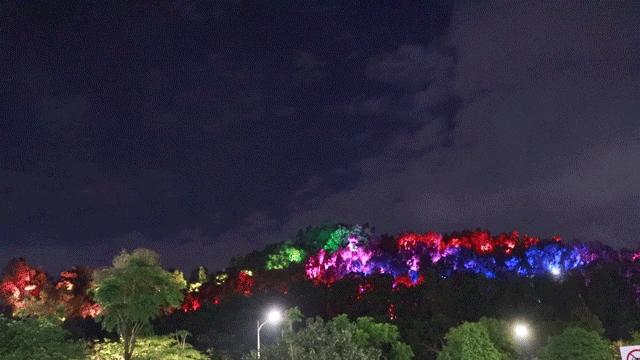 龙岗地标大厦,龙岗未来地标建筑在哪个地段