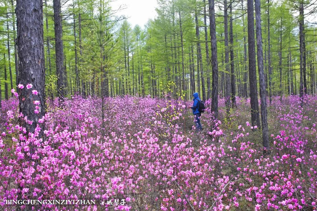 寻找中国最美的春季,探寻中国最美秘境