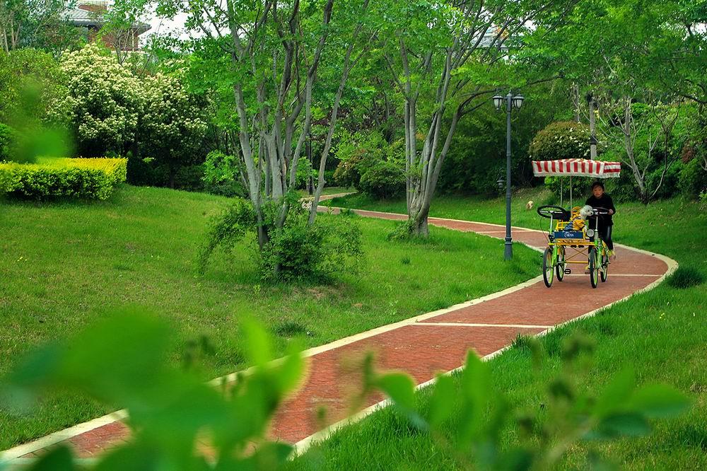 如果有一天我将老去英文歌,如果有一天我将老去女生版