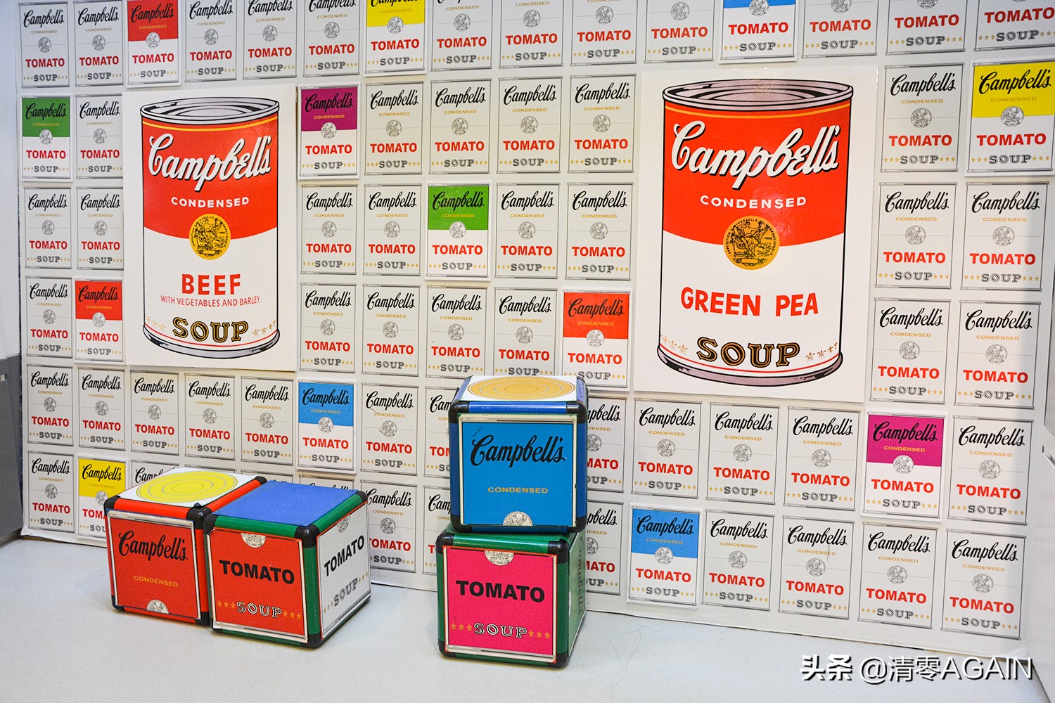 挖掘网红地x另类打卡挪亚方舟的文青路线