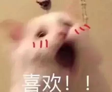 画鼻子修容能不画高光吗,低鼻头怎么画高光