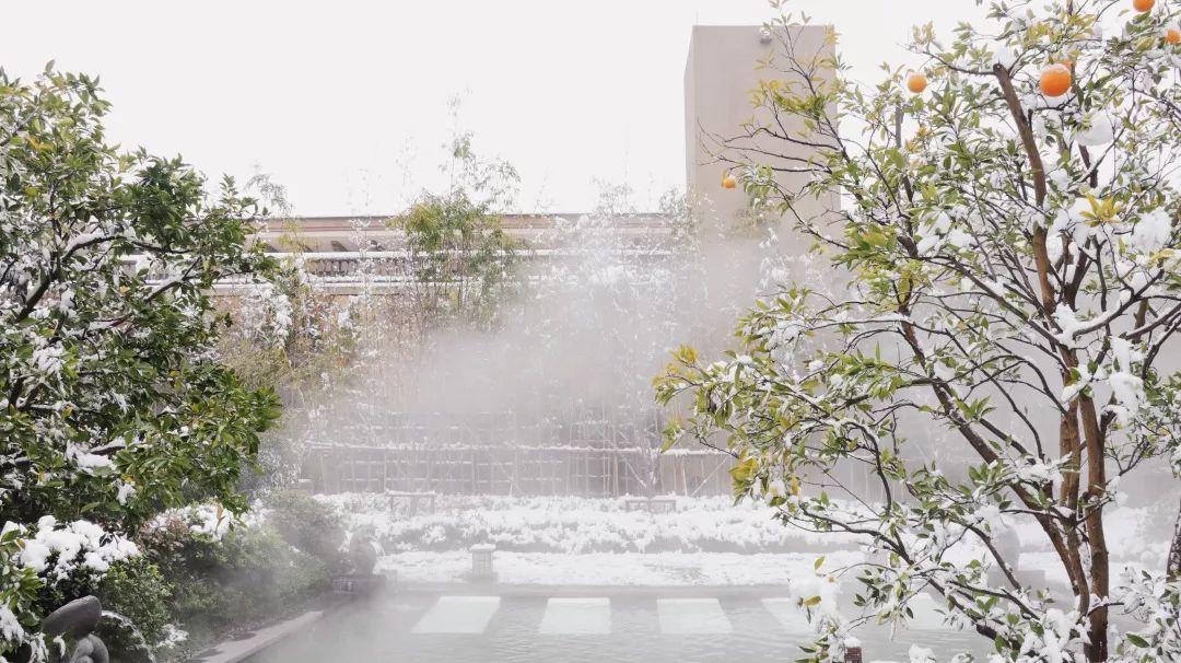 杭州温泉网红打卡地,杭州十大顶级温泉