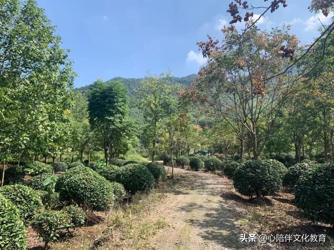 盛玉峰|家乡的那些古道—从谢圣岭说起