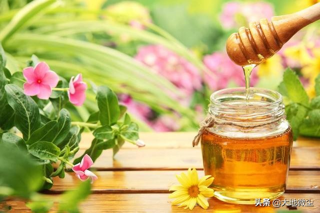紫云英蜂蜜哪里产的好,周氏紫云英蜂蜜效果怎么样