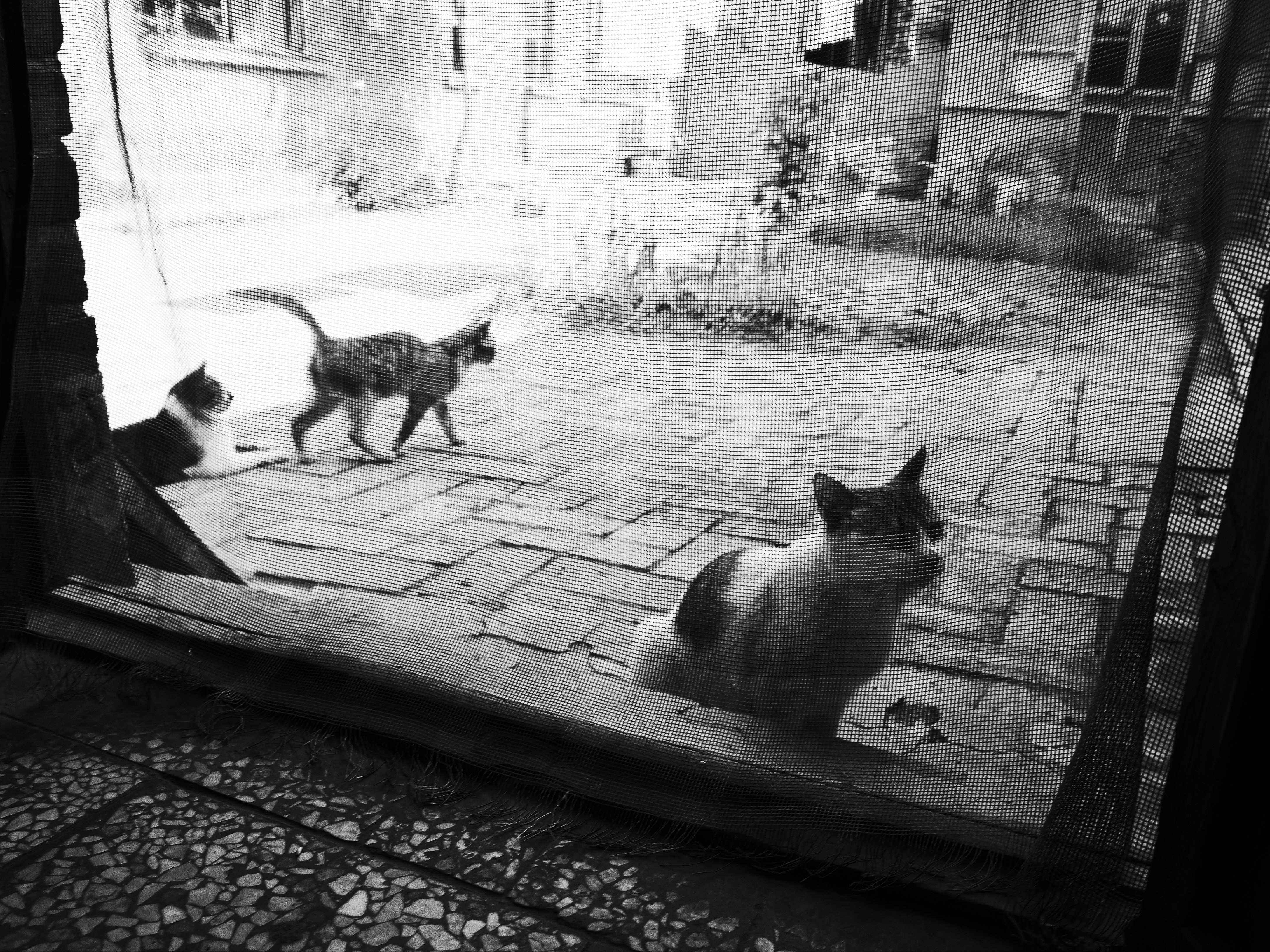 不要被器材左右，我们追求的终究还是摄影的精髓：理光GR（下）