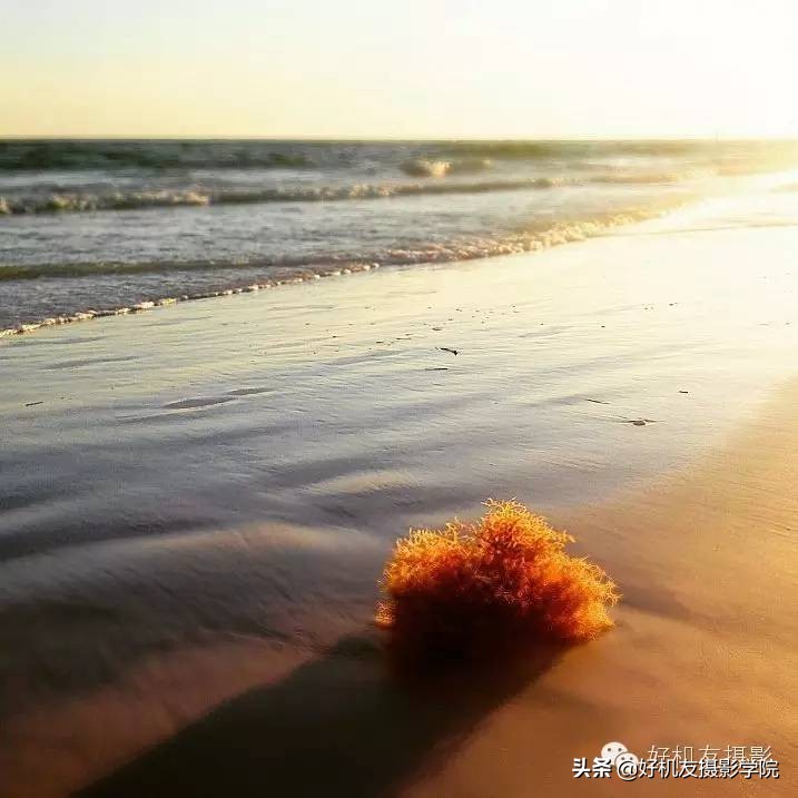 防眩光的正确调法技巧,简单四招提升短片氛围感