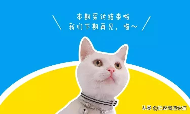 猫故事集,猫故事完整版