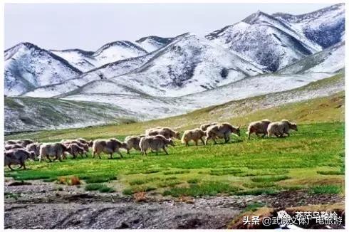武威天祝县乌鞘岭,甘肃天祝县乌鞘岭