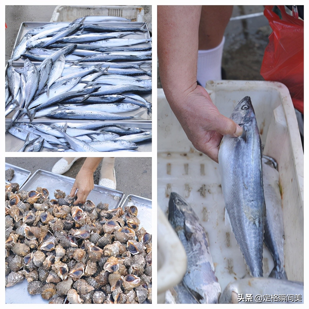 海鲜市场迎来销售高峰期,海鲜批发市场要注意哪些
